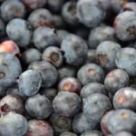 Blueberries for Wanda